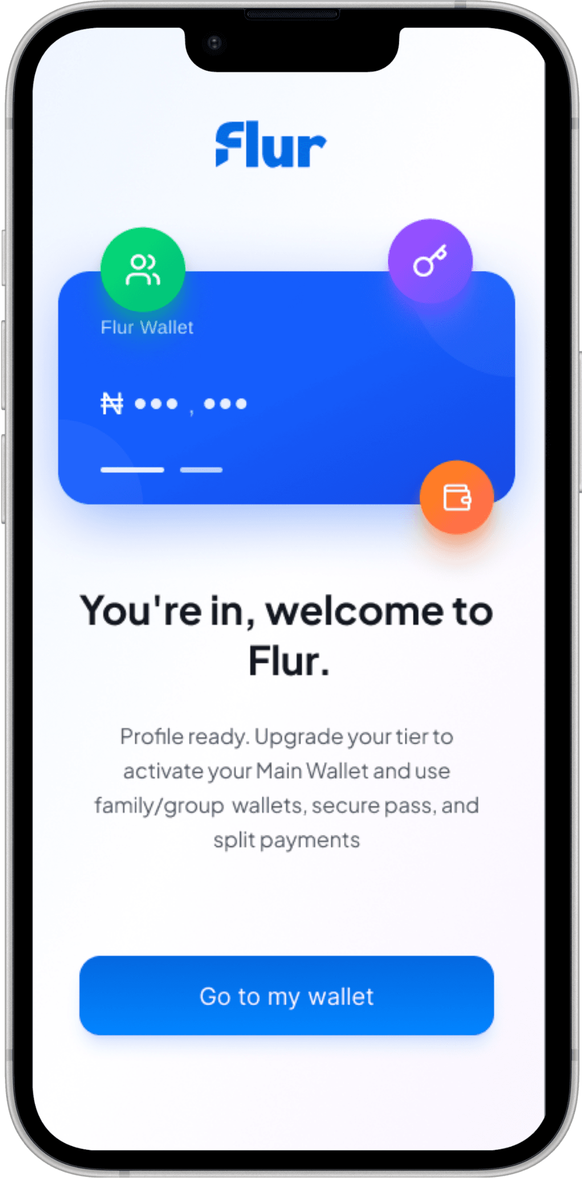 Flur Finance Interface